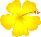 Aloha! Shirts of Aloha - The BEST selection and pricing for Aloha Shirts in Hawaii!
